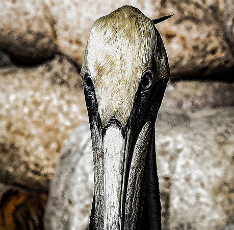 I See You